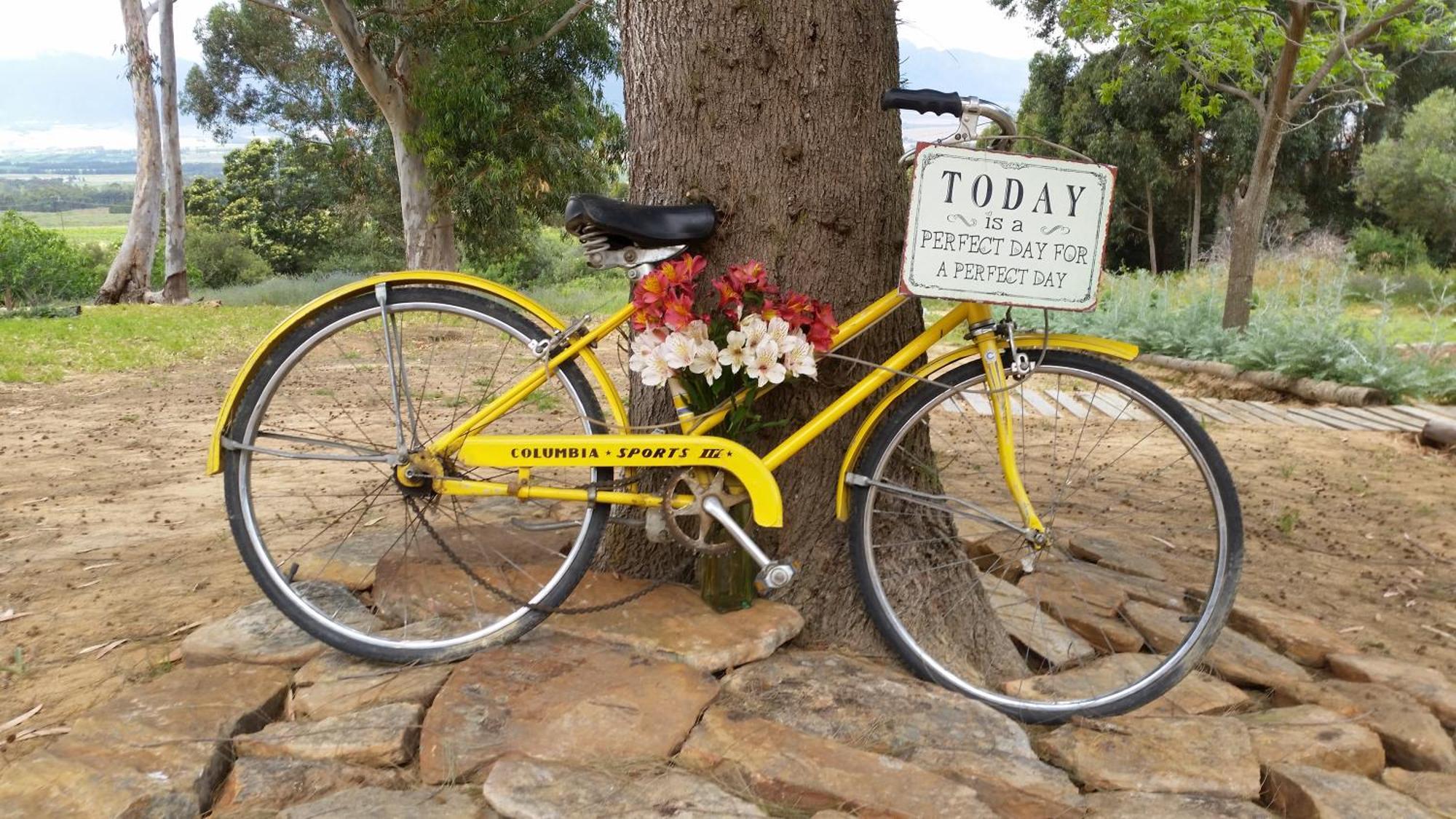 Oudekloof Wine Estate Villa Tulbagh Dış mekan fotoğraf